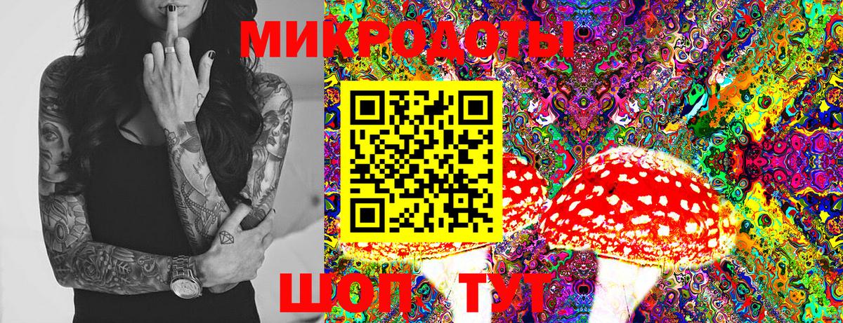 Галлюциногенные грибы Magic Shrooms Ростов-на-Дону