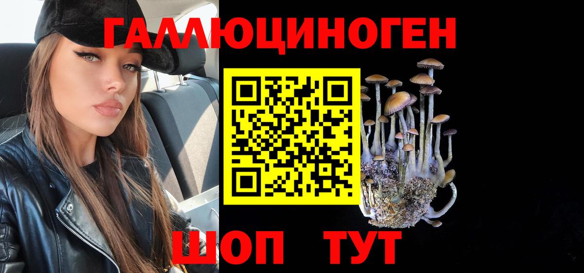 Галлюциногенные грибы GOLDEN TEACHER  Вход с VPN  хочу   Ростов-на-Дону 